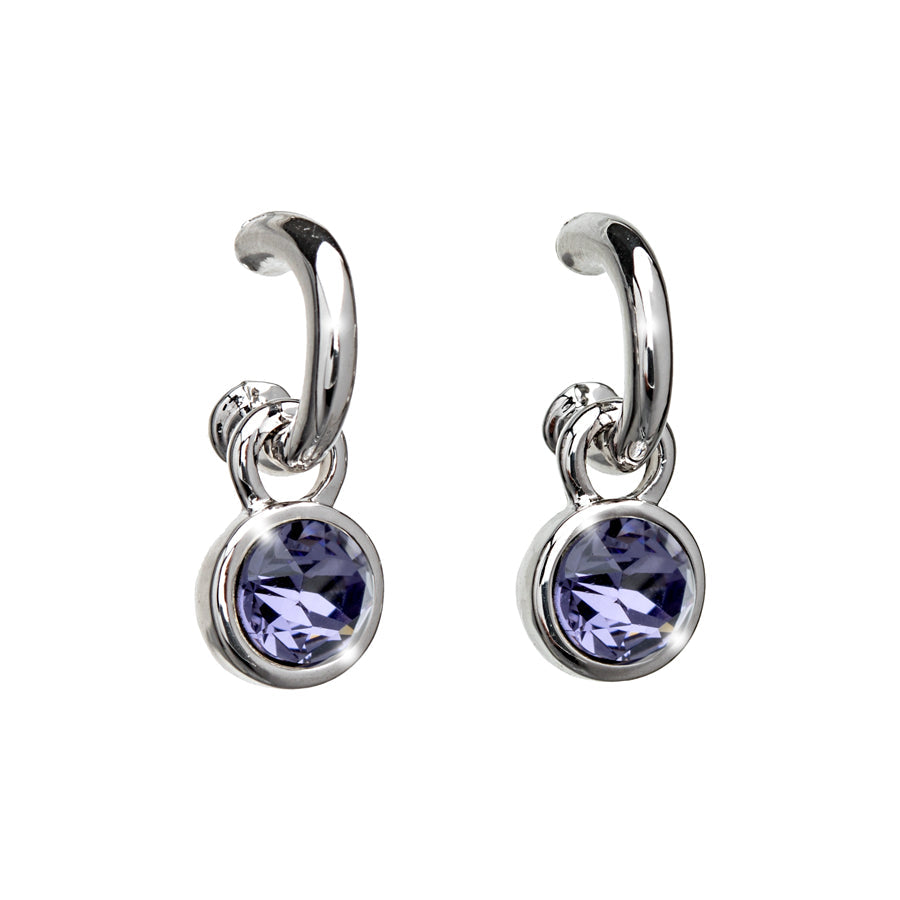 Purple Crystal Two in One Earring: Removable Charm & Hoop
