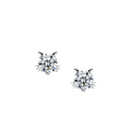 Cat Stud Earrings Gift Box