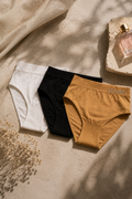 seamless high-waisted underwear (3 underwear) - Pedro Sport