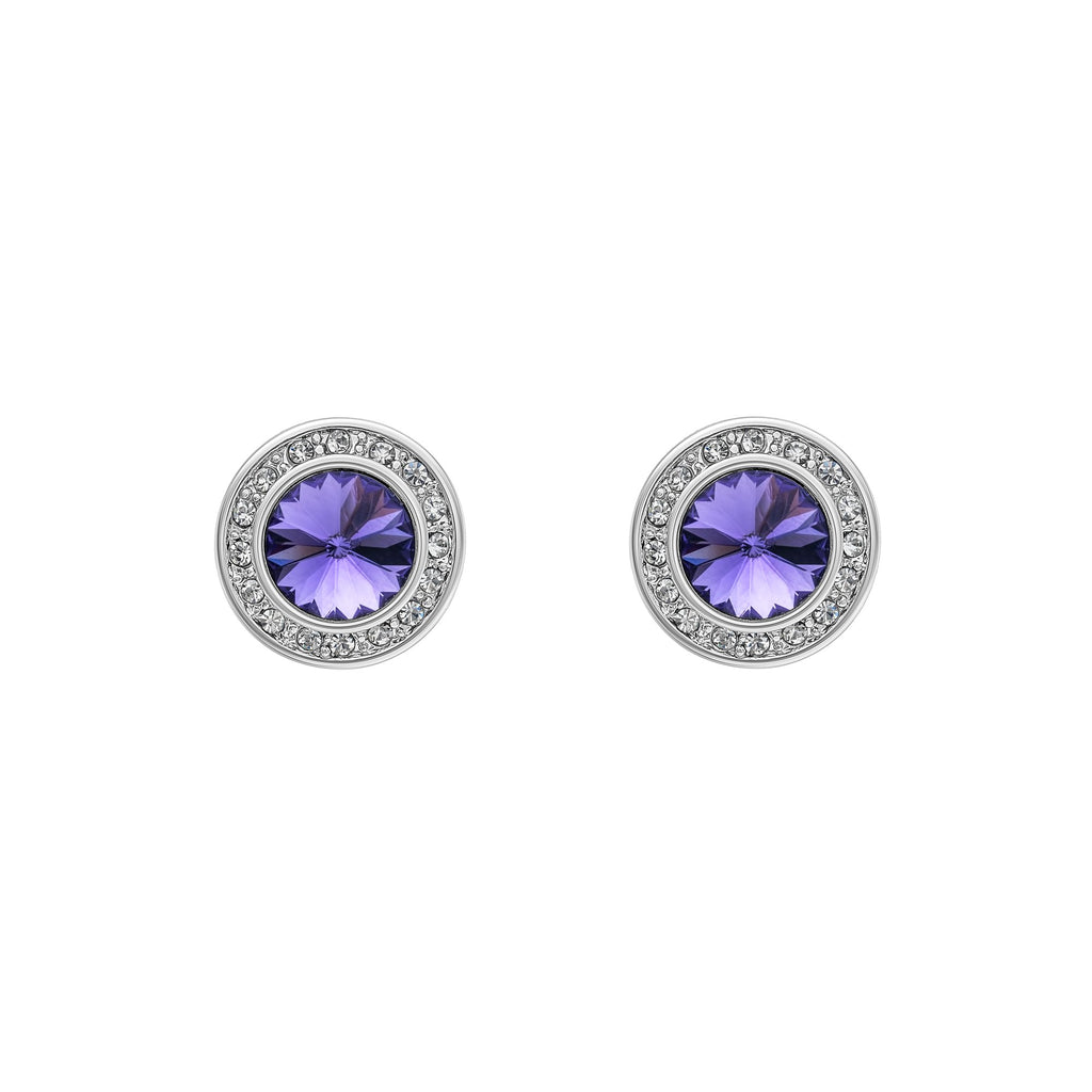 Silvertone & Tanzanite  Crystal Halo Stud Earrings
